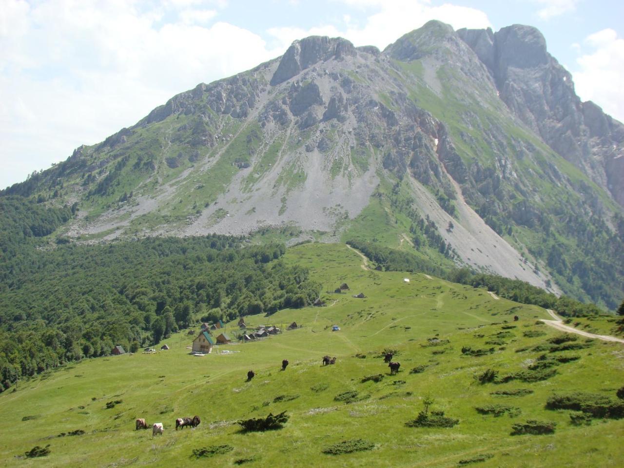 Komovi Eko Katun Villa Andrijevica Exteriör bild