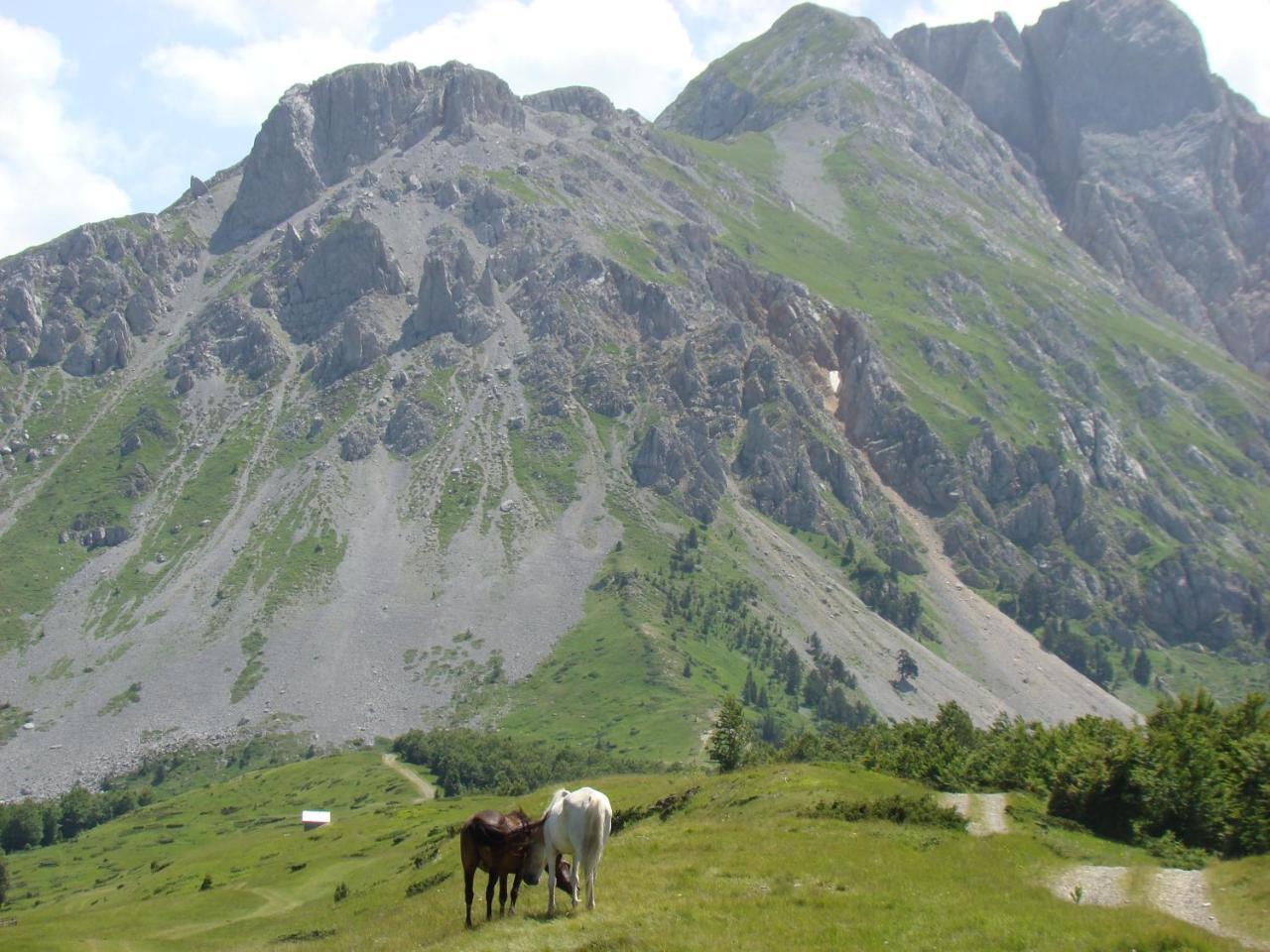 Komovi Eko Katun Villa Andrijevica Exteriör bild